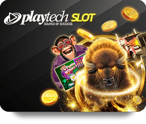Discover the Best Features of Rollbit Thailand for Players